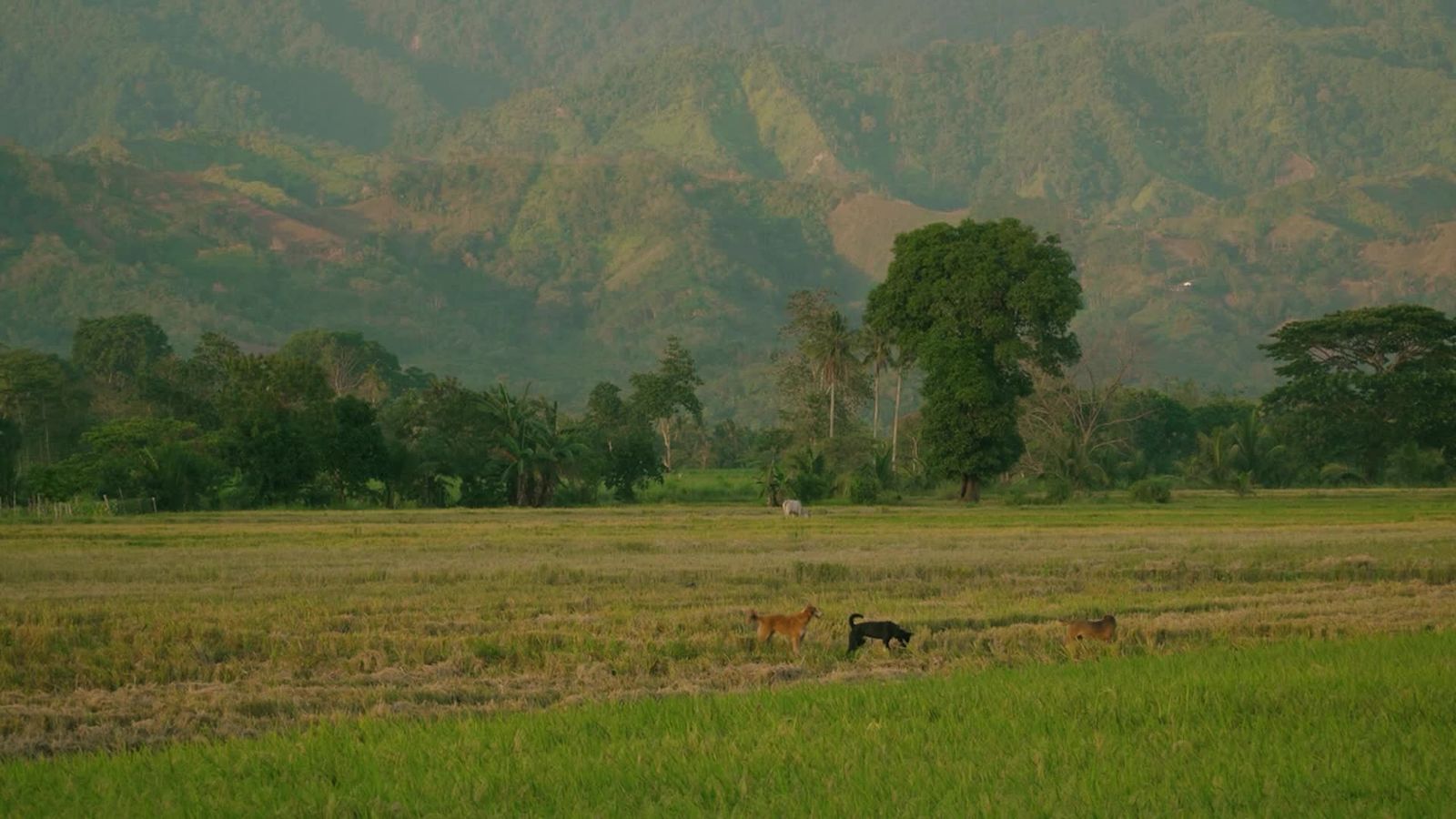 Still from Hair Pin